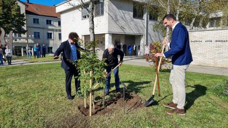 Posaditev drevesa prijateljstva z Vicchiem (Špela Kranjc) (16)